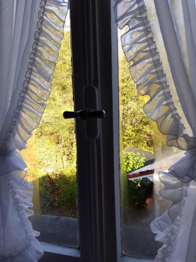 Schmoekermuehle Bed & Breakfast Andernach Dış mekan fotoğraf