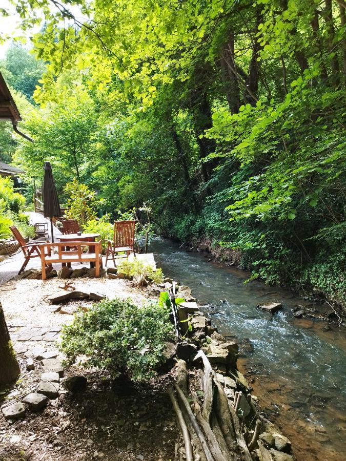Schmoekermuehle Bed & Breakfast Andernach Dış mekan fotoğraf