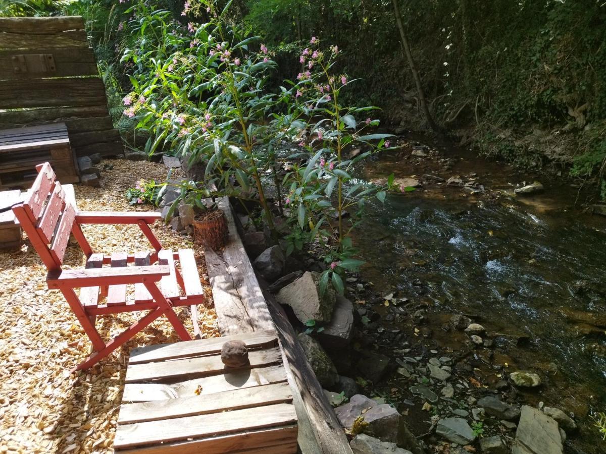 Schmoekermuehle Bed & Breakfast Andernach Dış mekan fotoğraf